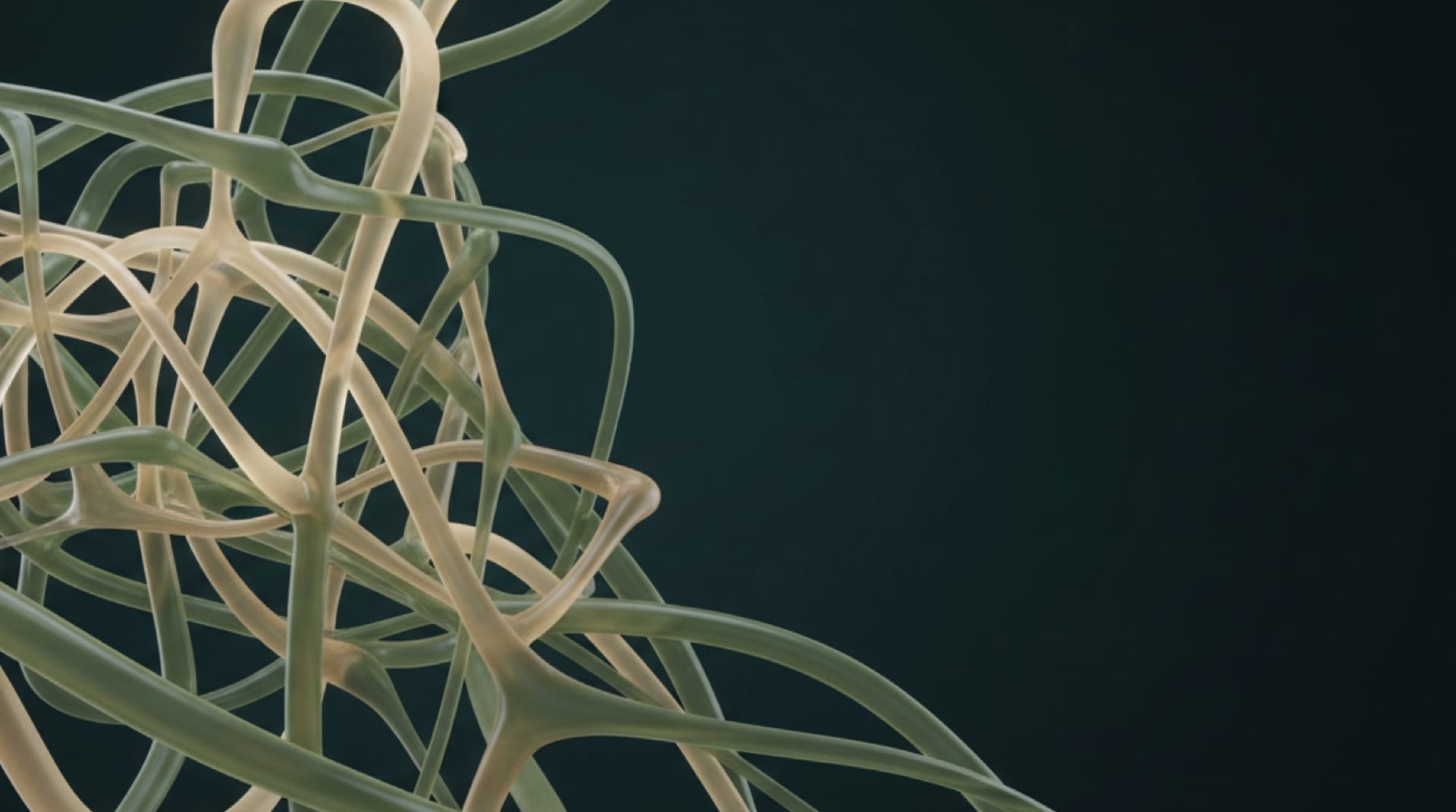 Data Governance, Management & Lineage — Capmark Advisory